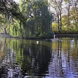 Mühlenteich Gahlen...... Horst Tripp